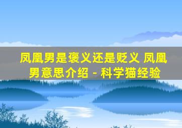 凤凰男是褒义还是贬义 凤凰男意思介绍 - 科学猫经验